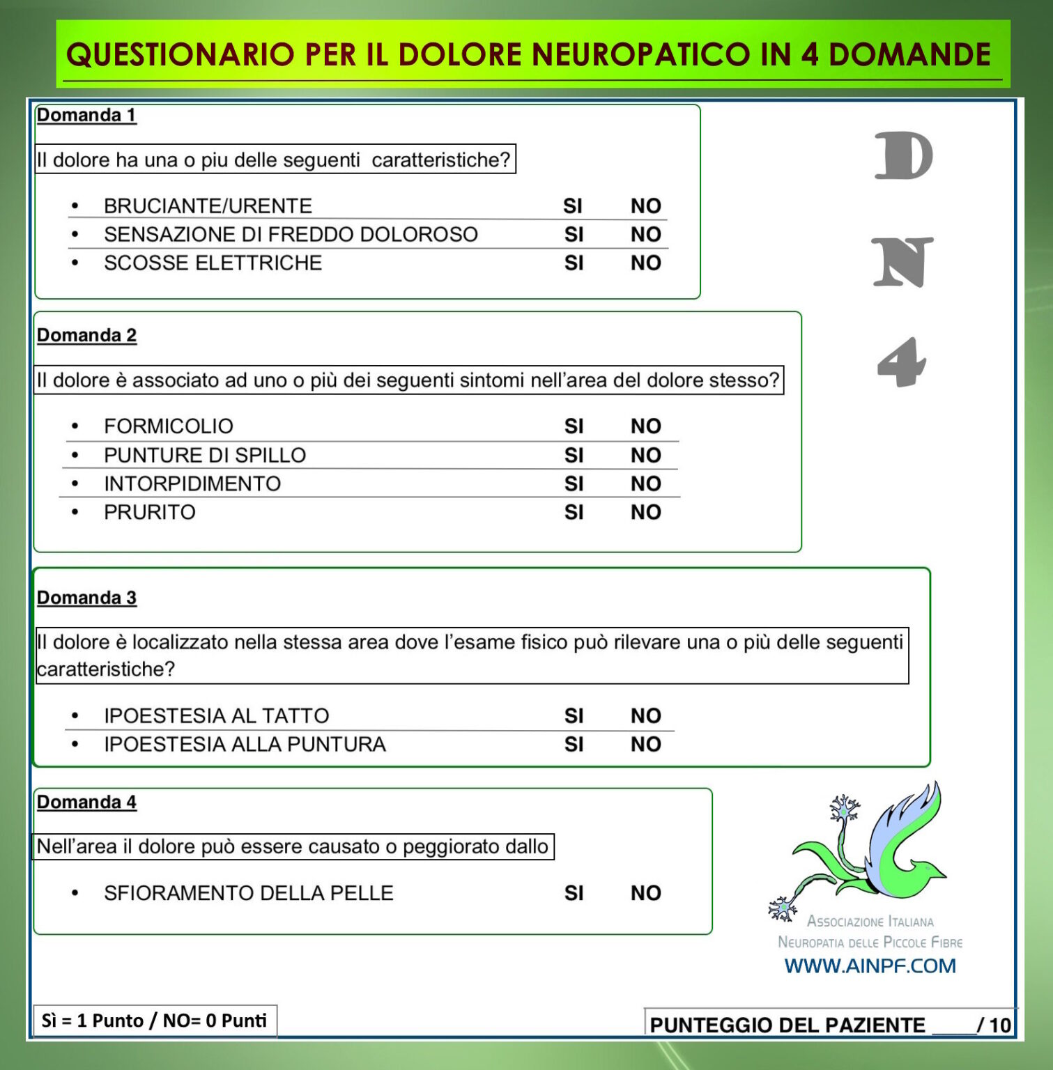 Dn4 Questionnaire.pdf Questionario dolore neuropatico DN4: Cos'è e Come Utilizzarlo